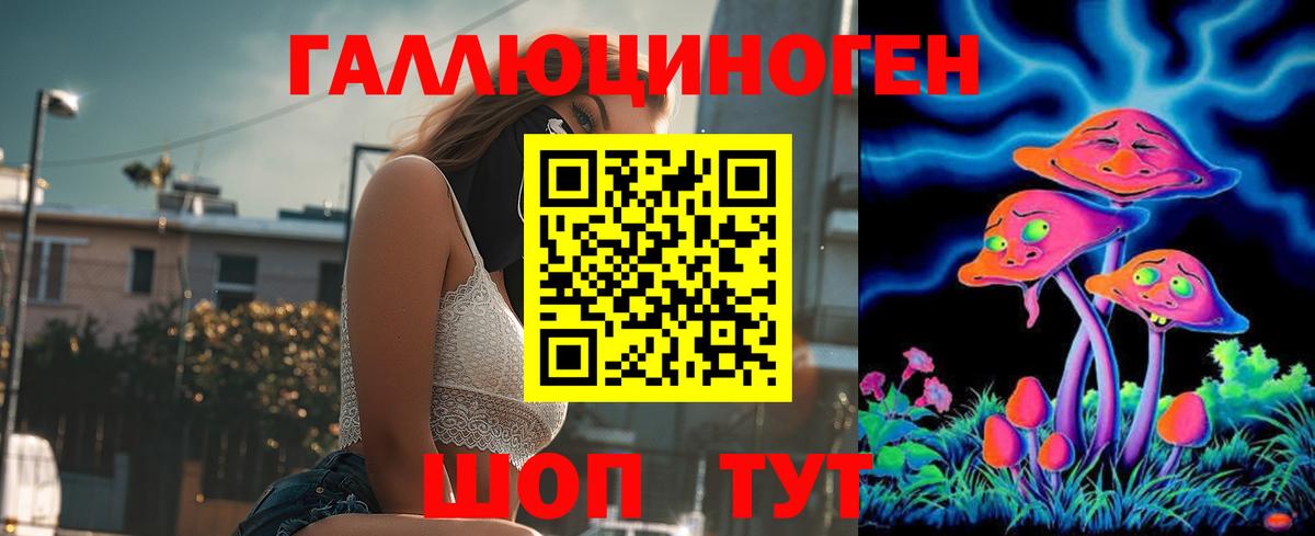 Псилоцибиновые грибы Cubensis Удомля